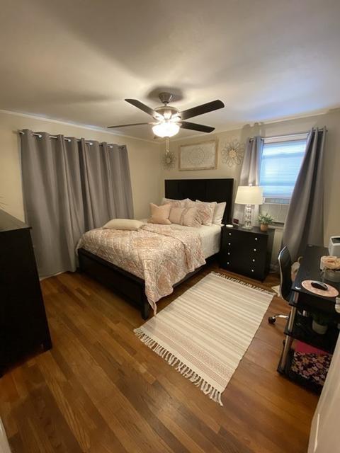 58 Steuben St, Springfield, MA 01151 photo 19