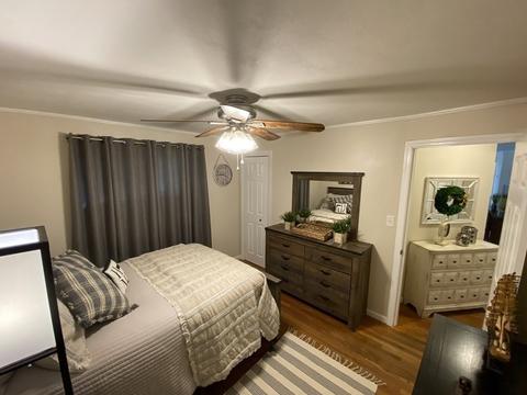 58 Steuben St, Springfield, MA 01151 photo 25