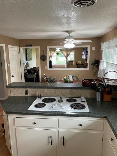 285 Britton St, Chicopee, MA 01020 photo 4