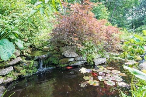 2 Circle Dr, Dover, MA 02030 photo 2