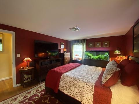 117 E Allen Ridge Rd, Springfield, MA 01118 photo 13