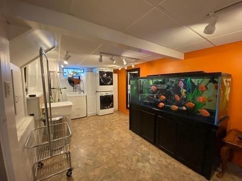 117 E Allen Ridge Rd, Springfield, MA 01118 photo 18