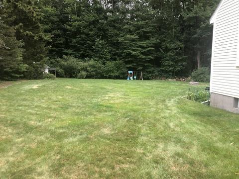 75 Rustic Rd, Walpole, MA 02032 photo 5