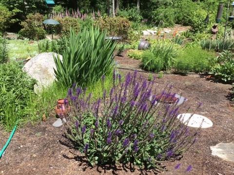 459 Point Rd, Marion, MA 02738 photo 42