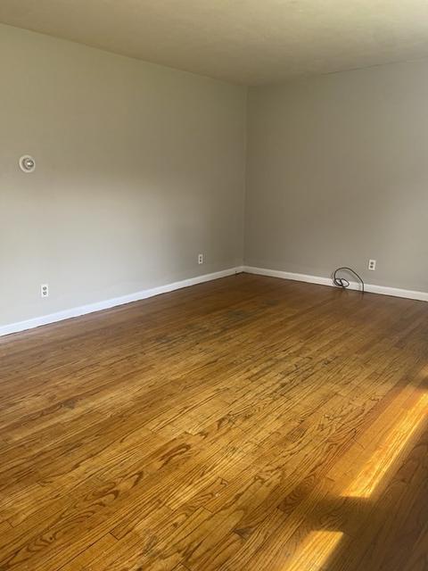 142 Gresham St, Springfield, MA 01119 photo 5