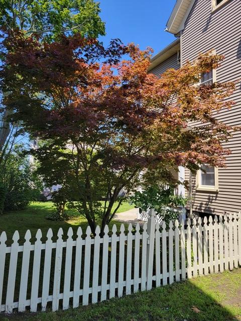 57 Whipple, Fall River, MA 02721 photo 5