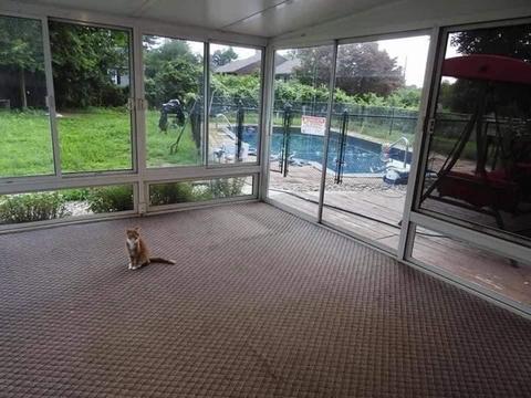 119 Acrebrook Rd, Springfield, MA 01129 photo 25