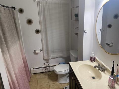 18 Falmouth St, Worcester, MA 01607 photo 12