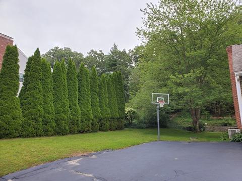 37 Merrill Rd, Sutton, MA 01590 photo 37