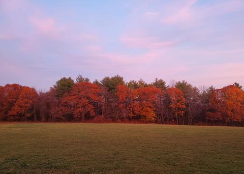 3 Davis Ledge Rd, Sterling, MA 01564 photo 42