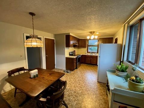 263 Abbott St, Springfield, MA 01118 photo 8