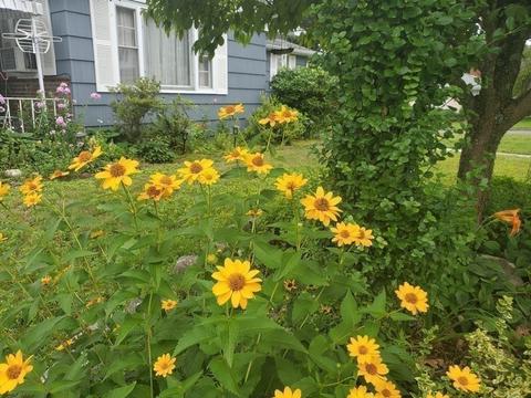 29 Raylo St, Chicopee, MA 01013 photo 41