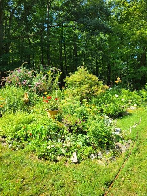 33 Long Plain Rd, Leverett, MA 01054 photo 38