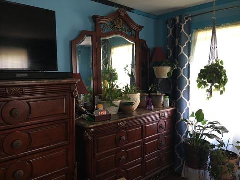 164 Ellsworth Ave, Springfield, MA 01118 photo 14