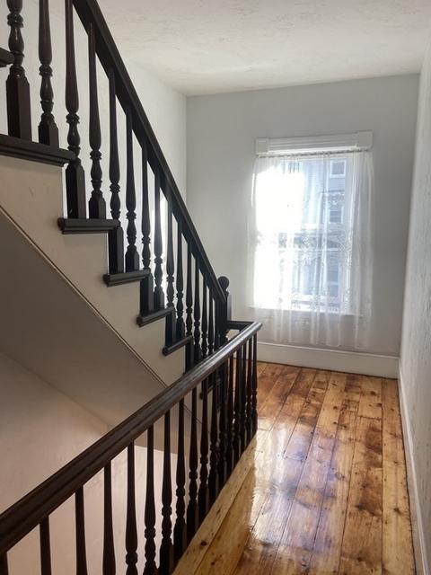 45 Fox St, Worcester, MA 01604 photo 18