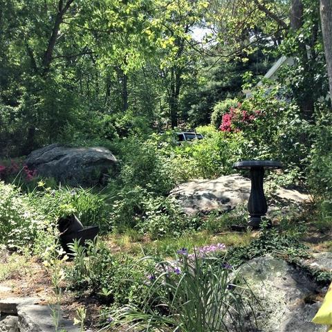31 Margin St, Worcester, MA 01604 photo 27