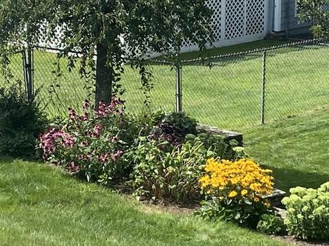 6 Wheeler Cir, Canton, MA 02021 photo 38