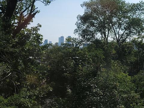 22 Hancock, Brookline, MA 02445 photo 30
