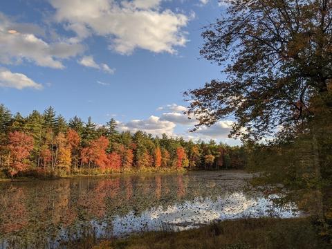 51 Haynes Rd, Townsend, MA 01469 photo 41