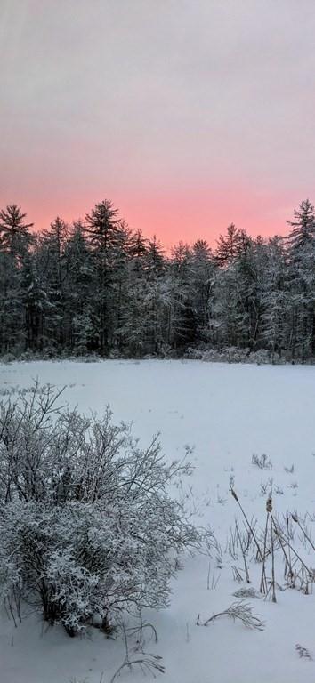 51 Haynes Rd, Townsend, MA 01469 photo 42