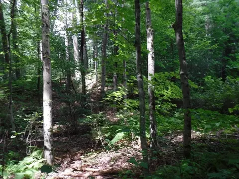 9 Greenwich Road, Ware, MA 01082 photo 5
