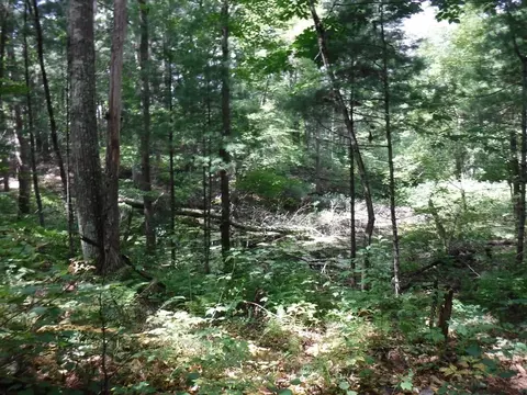 9 Greenwich Road, Ware, MA 01082 photo 7