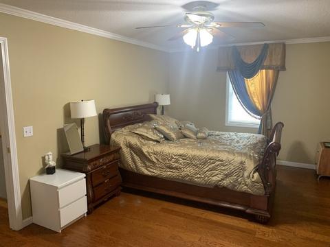 113 Michon St, Springfield, MA 01151 photo 11