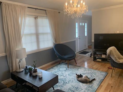 113 Michon St, Springfield, MA 01151 photo 4