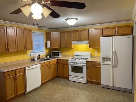 85 Tamarack Dr, Springfield, MA 01119 photo 11