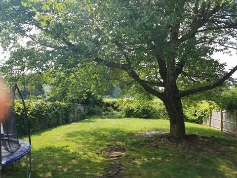 162 Hampden St, Chicopee, MA 01013 photo 28