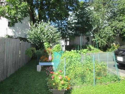 6 Ericsson St, Worcester, MA 01606 photo 14