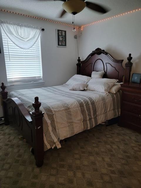192 Starling Rd, Springfield, MA 01119 photo 15