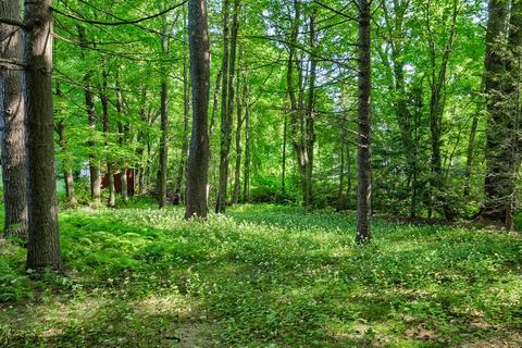 22 Brookside Dr, Holden, MA 01520 photo 24