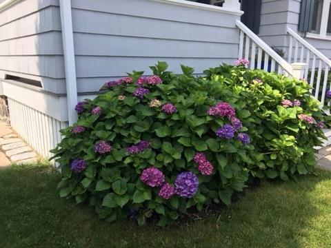 30 Pond St, Marblehead, MA 01945 photo 28