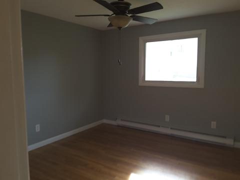 6 Bangor, Worcester, MA 01604 photo 17