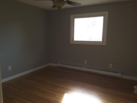 6 Bangor, Worcester, MA 01604 photo 16