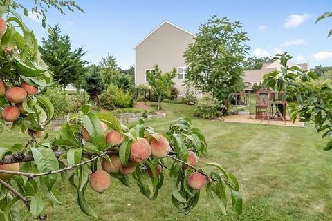 33 Howarth Dr, Upton, MA 01568 photo 42
