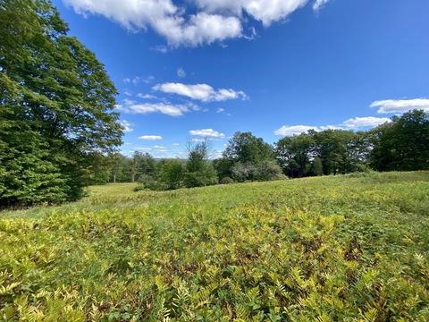 242 S Central St, Plainfield, MA 01070 photo 7
