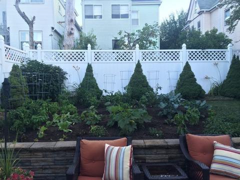 58 Freeman Ave, Everett, MA 02149 photo 29