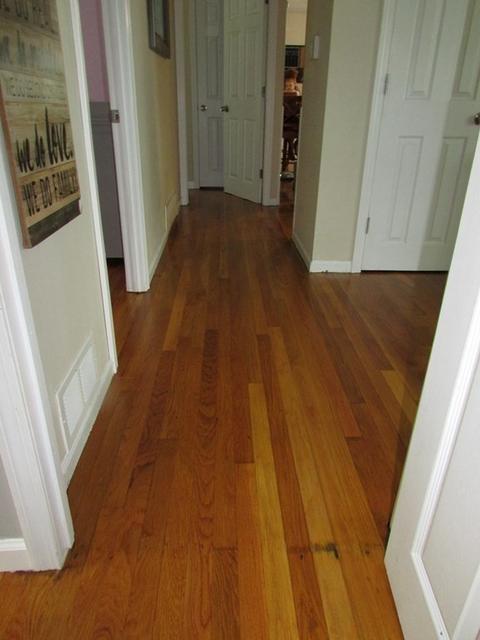 32 Scarsdale Rd, Springfield, MA 01129 photo 25