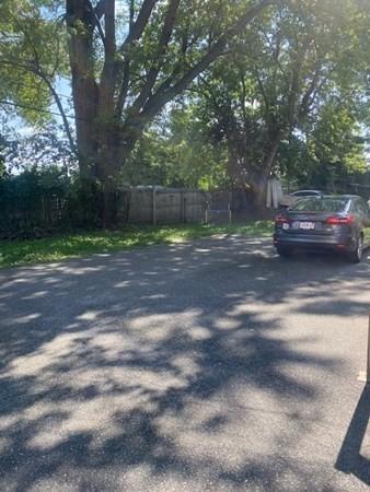 19 Ringgold St, Springfield, MA 01107 photo 4