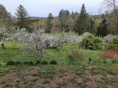 28 E Hill Rd, Brimfield, MA 01010 photo 3