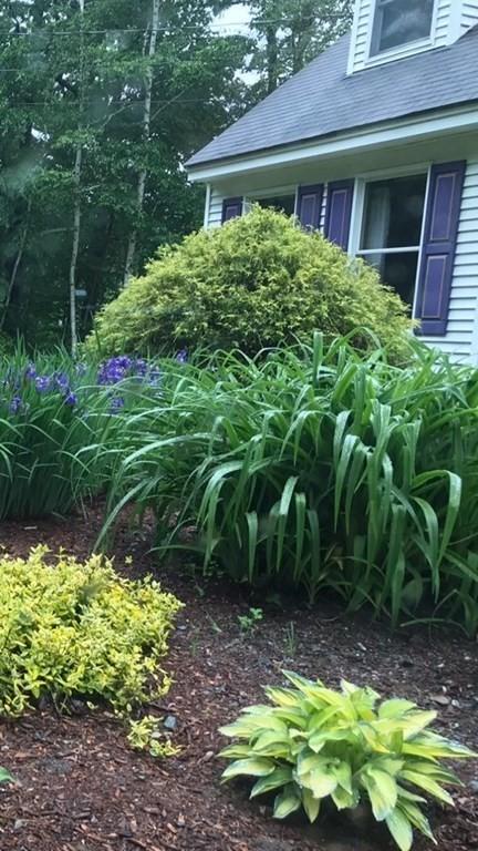 97 E Haynes Rd, Townsend, MA 01469 photo 4