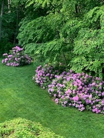 97 E Haynes Rd, Townsend, MA 01469 photo 9