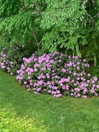 97 E Haynes Rd, Townsend, MA 01469 photo 8