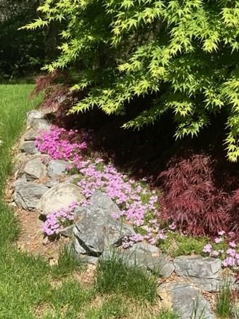 97 E Haynes Rd, Townsend, MA 01469 photo 7