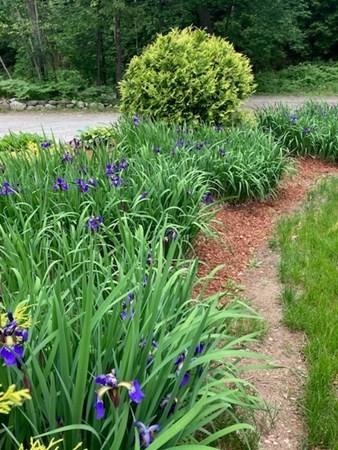 97 E Haynes Rd, Townsend, MA 01469 photo 6