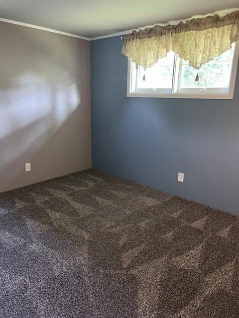 31 Dutton, Springfield, MA 01151 photo 7