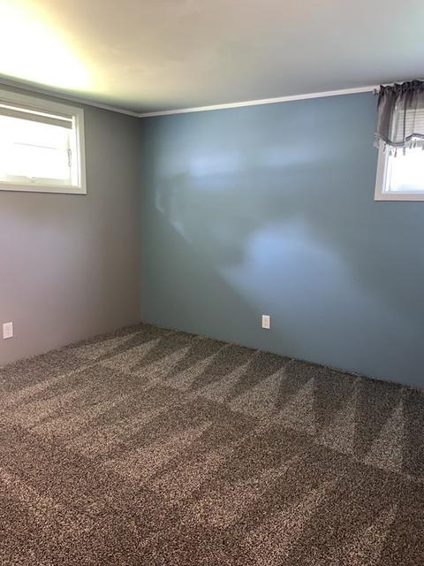 31 Dutton, Springfield, MA 01151 photo 8