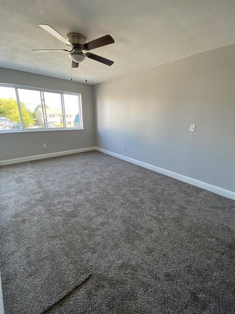 215 Glasgow St #5, Fall River, MA 02721 photo 5